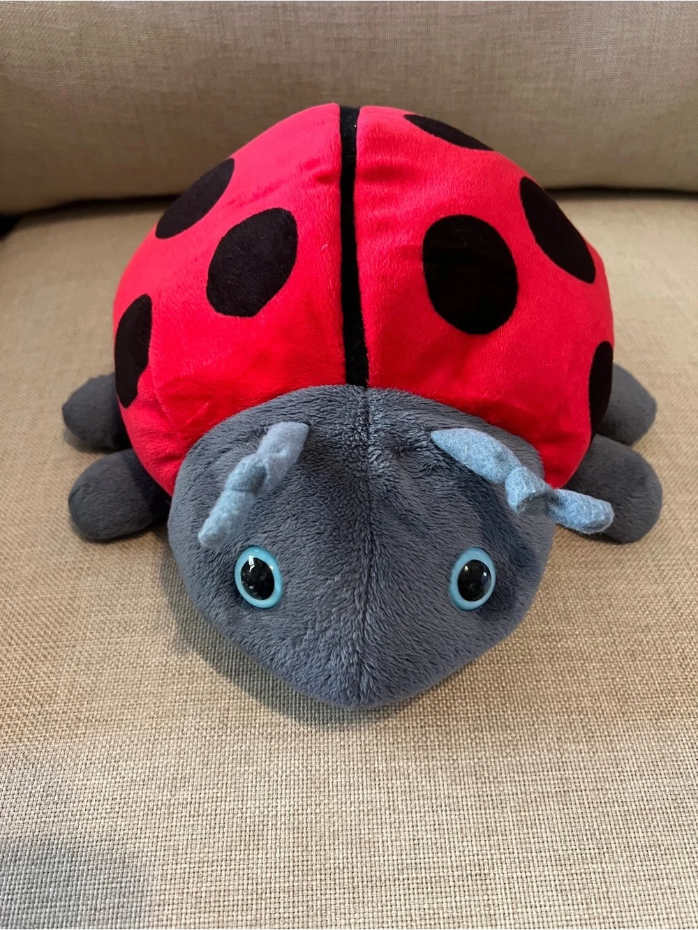 The Grouchy Ladybug Book with stuffed animal